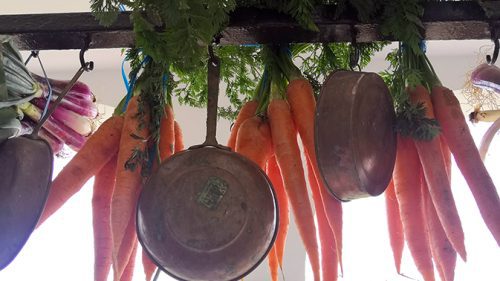 Dehesa de Bolaños, Jerez.