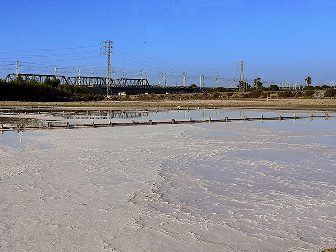 Celebrant in San Fernando, Cadiz